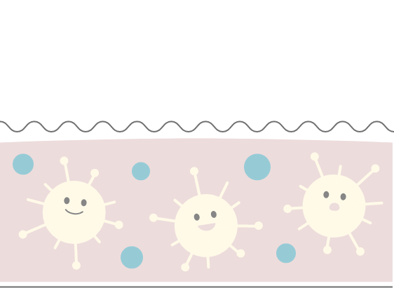 肌のイメージ図