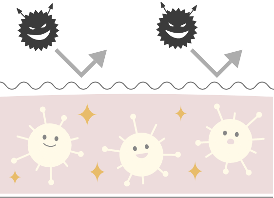 肌のイメージ図